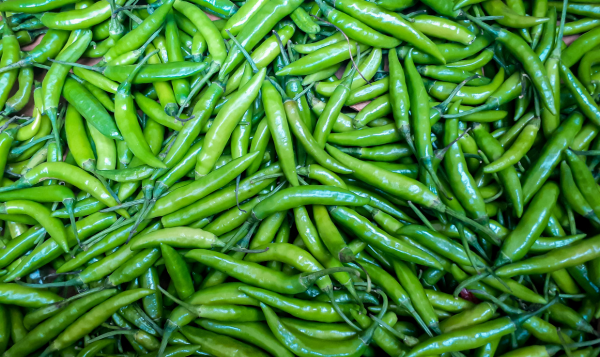 Green Chilli Export from India