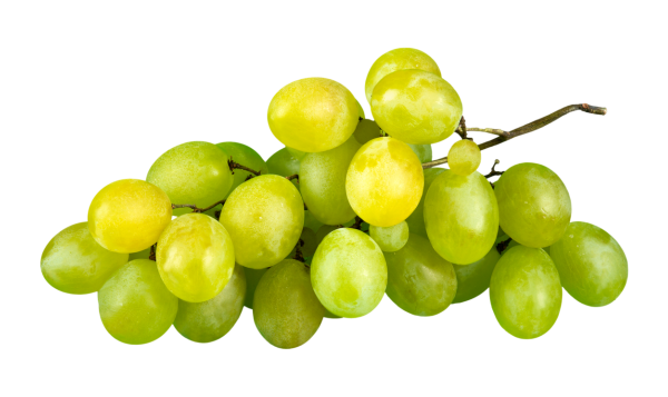 Grapes Export from India
