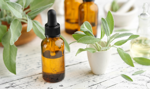 Organic Plant Based Wellness Products Export