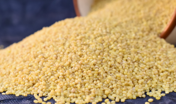 Foxtail Millet Export from India
