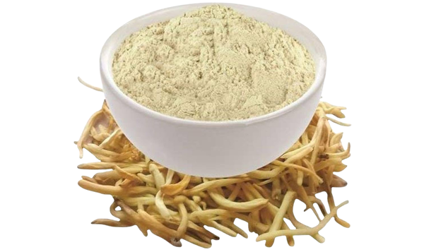 Safed Musli Export from India